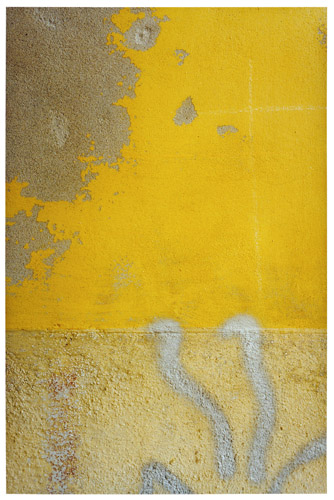 2010-09-21-DH.FlorenceYellowwithSilverSprayPaint1997300dpi.jpg