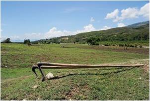 2010-10-06-Zafen_Haitian_Microfinance_Effort_E.jpg