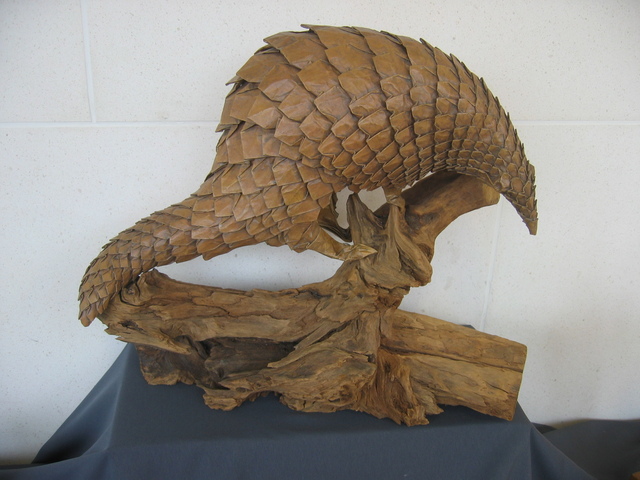 2010-10-07-JoiselPangolin.jpg