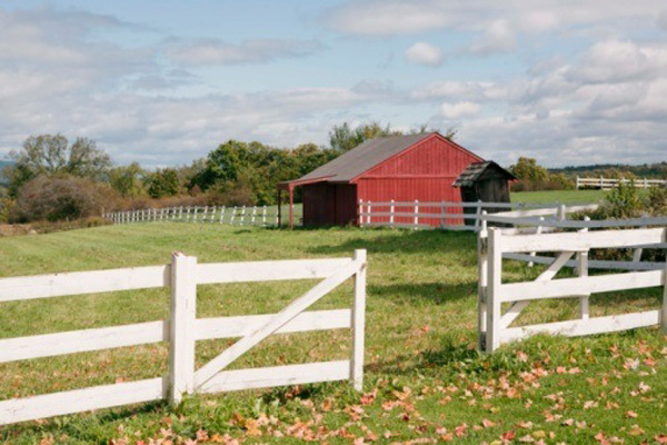 2010-10-09-rural.jpg