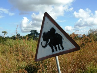 2010-10-15-elephant_sign.JPG