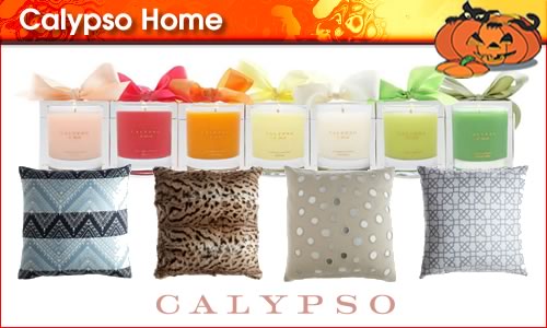 2010-10-26-CalypsoHomepanel1.jpg