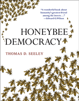 2010-11-06-honeybees.gif