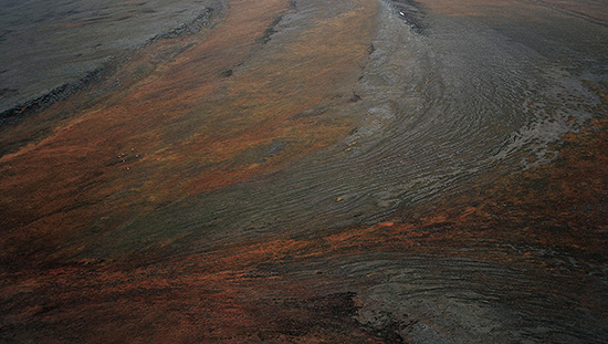 2010-11-15-cariboutracksoncoalseamshp.jpg
