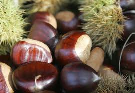 2010-11-16-chestnuts.jpg