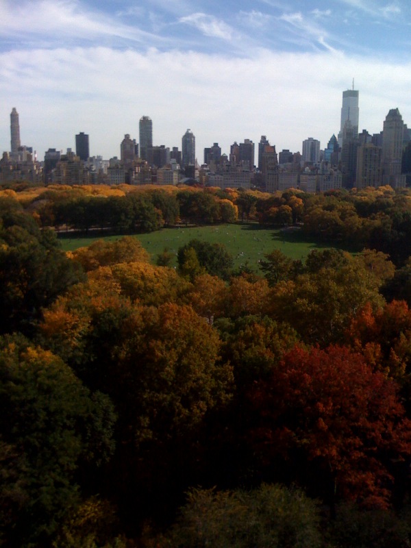 2010-11-16-photocpwviewofsheepmeadow.jpg