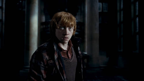 2010-11-18-4harrypotterdeathlyhallowsrupertgrintphoto2.jpg