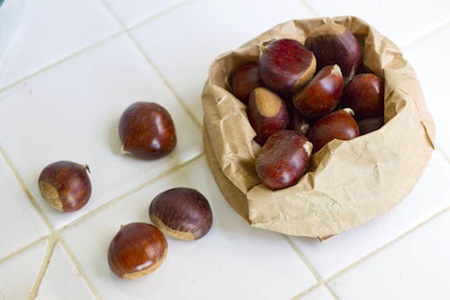 2010-11-26-roastedchestnuts1.jpg