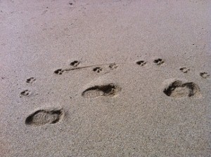 2010-12-04-footprints300x224.jpg