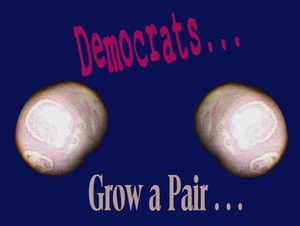 2010-12-05-DemocratsGrowaPairSM.jpg