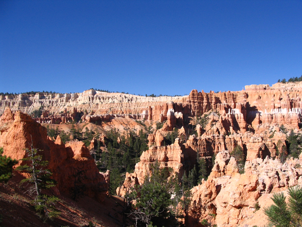 2010-12-13-bryce.jpg