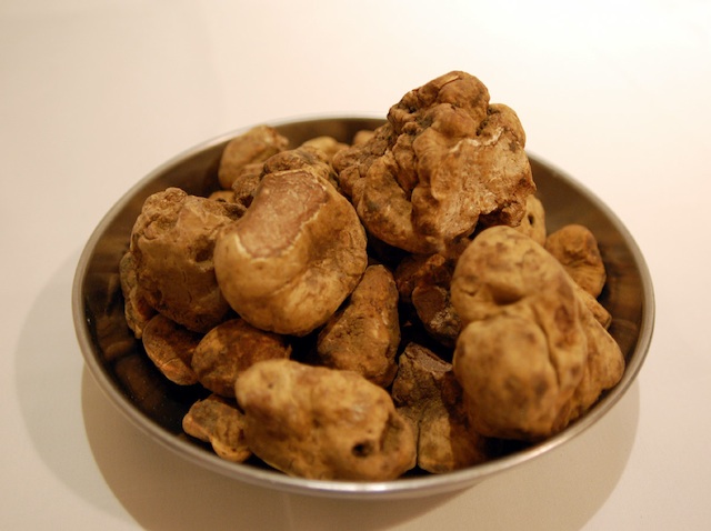 2010-12-18-SandroTruffleslo.jpg