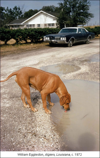 William Eggleston: Prince of Melancholy | HuffPost Entertainment