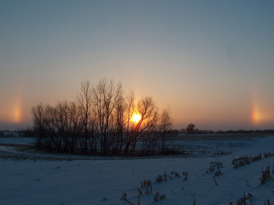 2011-01-12-Twinsundogs.jpeg