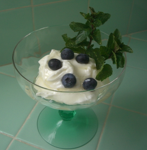 The Probiotic Maker - Easy Homemade Yogurt - Shark Tank Blog