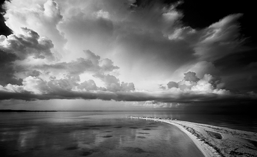 Extreme Exposure: Everglades -- Clyde Butcher's Wilderness Intuition ...