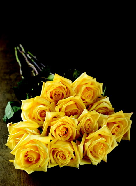 2011-01-19-yellowroses.jpg