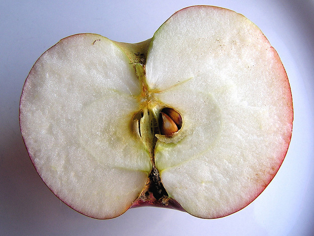 2011-01-20-apple_muffet.jpg