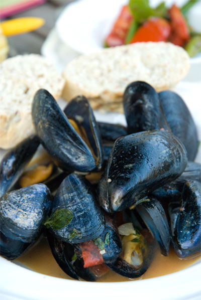 2011-01-27-mussels_in_shell.jpg