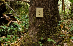 2011-02-03-thewoods.jpg