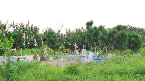 2011-02-06-cemetery.jpg