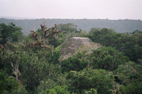 2011-02-06-ruins2.jpg