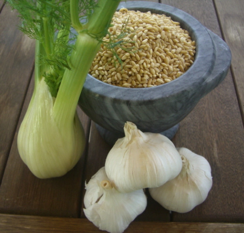 2011-02-09-garlic002.jpg