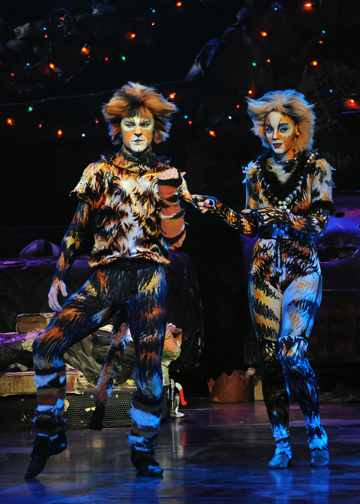  Cats Musical Theatre  West HuffPost