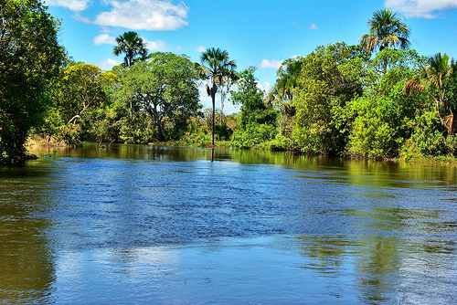 Leave Civilization Behind in the Brazilian Outback | HuffPost Life