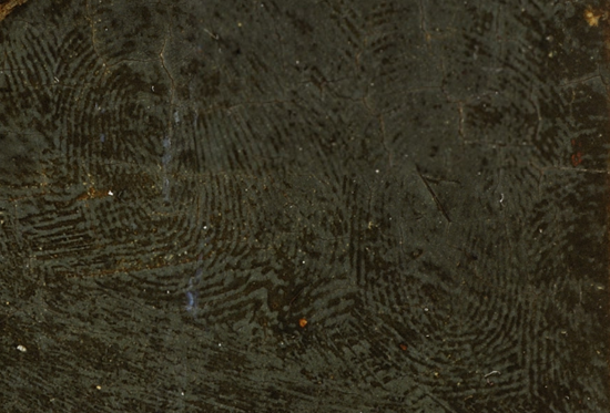 2011-03-09-42Fingerprints.png