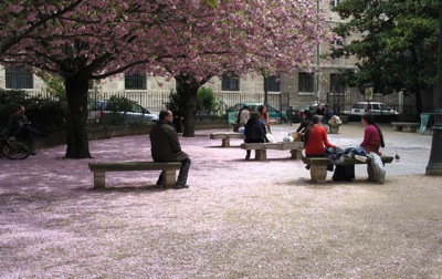 2011-03-25-ParisinSpringtime.jpg