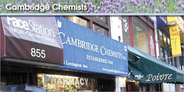 2011-03-28-CambridgeChempanel.jpg