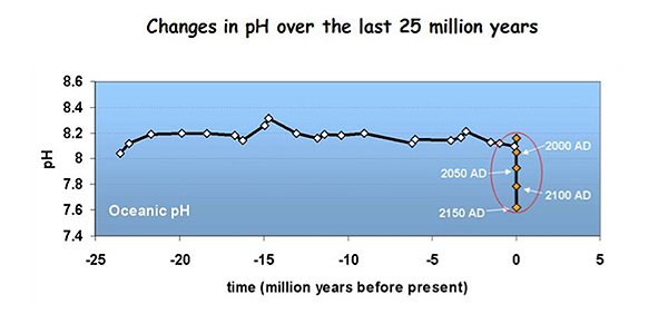 2011-04-17-Oceanph.jpg