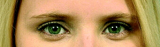 2011-04-27-brows1.bmp