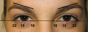 2011-04-27-brows5.bmp