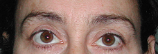 2011-04-27-brows7.bmp