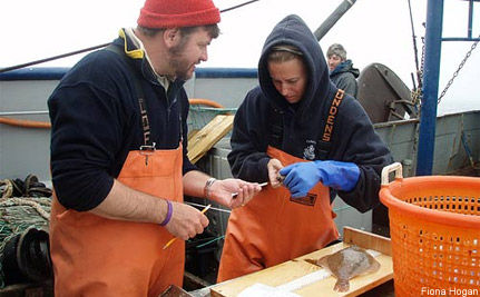 Fishermen clean flounder on a vessel