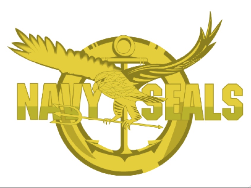 2011-05-03-NavySeals.jpg