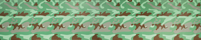 2011-05-11-8744Lot36WarholCamo.jpg