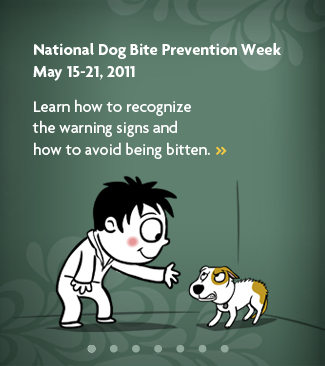 2011-05-15-DogBitePreventionWklgad.jpg