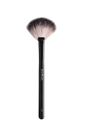 2011-06-06-Fan_brush.jpg