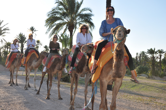 2011-06-13-CAMEL.jpg