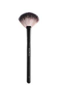 2011-06-21-110_FanBrush.jpg