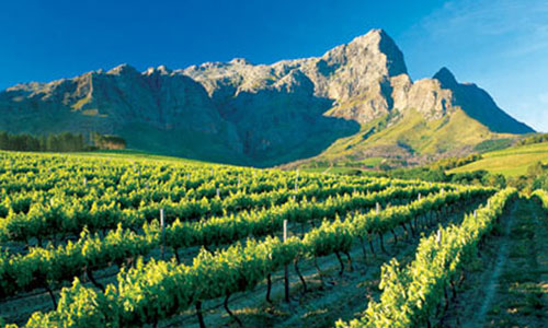 2011-06-22-franschhoek.jpg