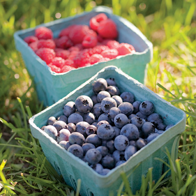 How to Pick the Best Ripe Summer Fruit