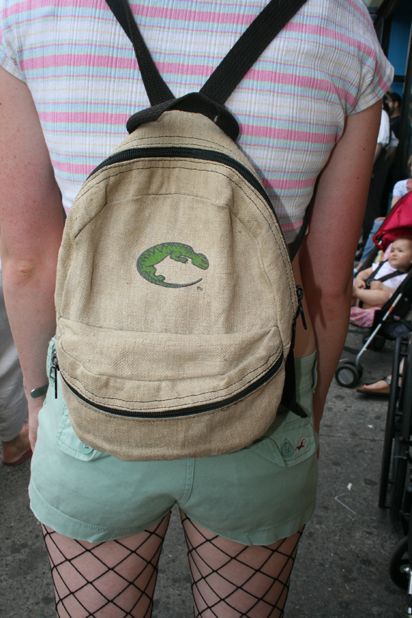 2011-06-27-backpack_lizard.jpg