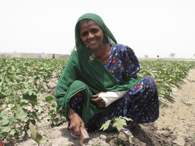 2011-06-29-SodhiSolangitendshercottoncrops.jpg