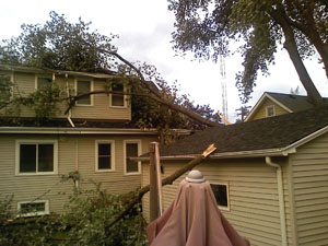 And That's When the Trees Attacked... | HuffPost Entertainment