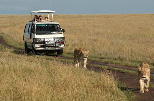 2011-07-08-MasaiMara055.jpg