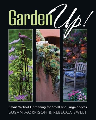 2011-07-11-gardenup.jpg